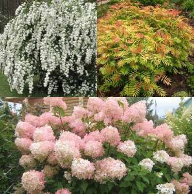 Комплект ФЕЙЕРВЕРК ЛЕТА в Ставрополе