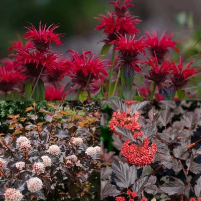 Комплект ОГНЕННЫЙ МИКС в Ставрополе