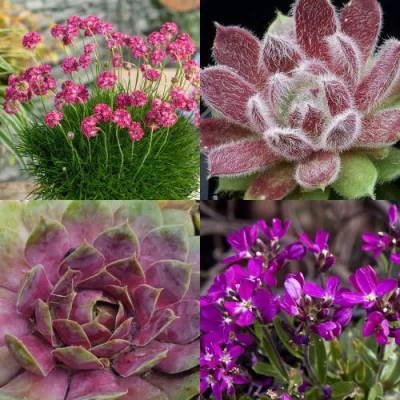 Комплект МИНИ САД в Ставрополе