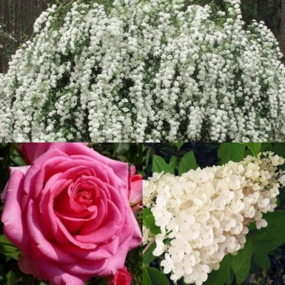 Комплект ВЕЧНАЯ КЛАССИКА в Ставрополе