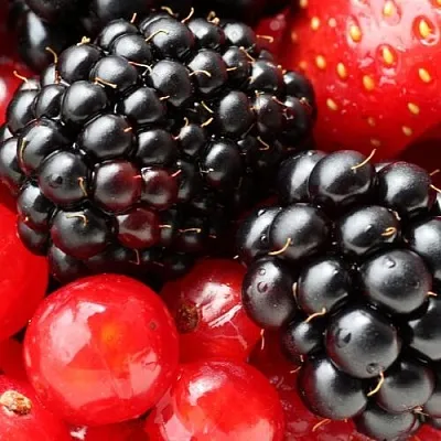 Ежевика в Ставрополе