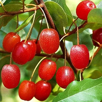 Гуми в Ставрополе