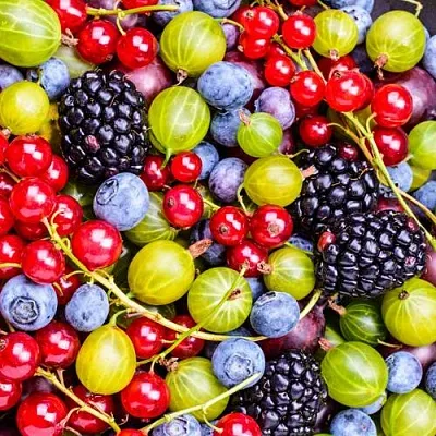 СУПЕР НОВИНКИ в Ставрополе