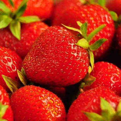 Клубника в Ставрополе