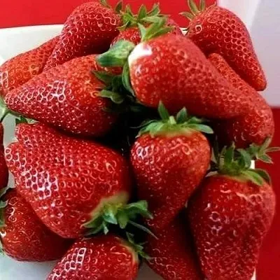 Клубника БРИЛЛА  Клубника БРИЛЛА в Ставрополе