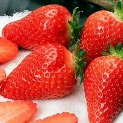 Клубника АЛЬБА  Клубника АЛЬБА в Ставрополе