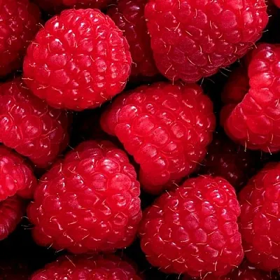 Малина в Ставрополе